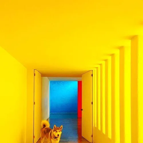 Luis Barragán's Casa Gilardi: A Modernist Masterpiece Rooted in Color