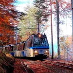 Autumn's Magic Train: A Journey Through Vigezzina-Centovalli That Whisks You Away to a Miyazaki World