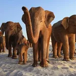 Elephant Art Invasion: "Great Elephant Migration" Takes Miami Beach by Storm